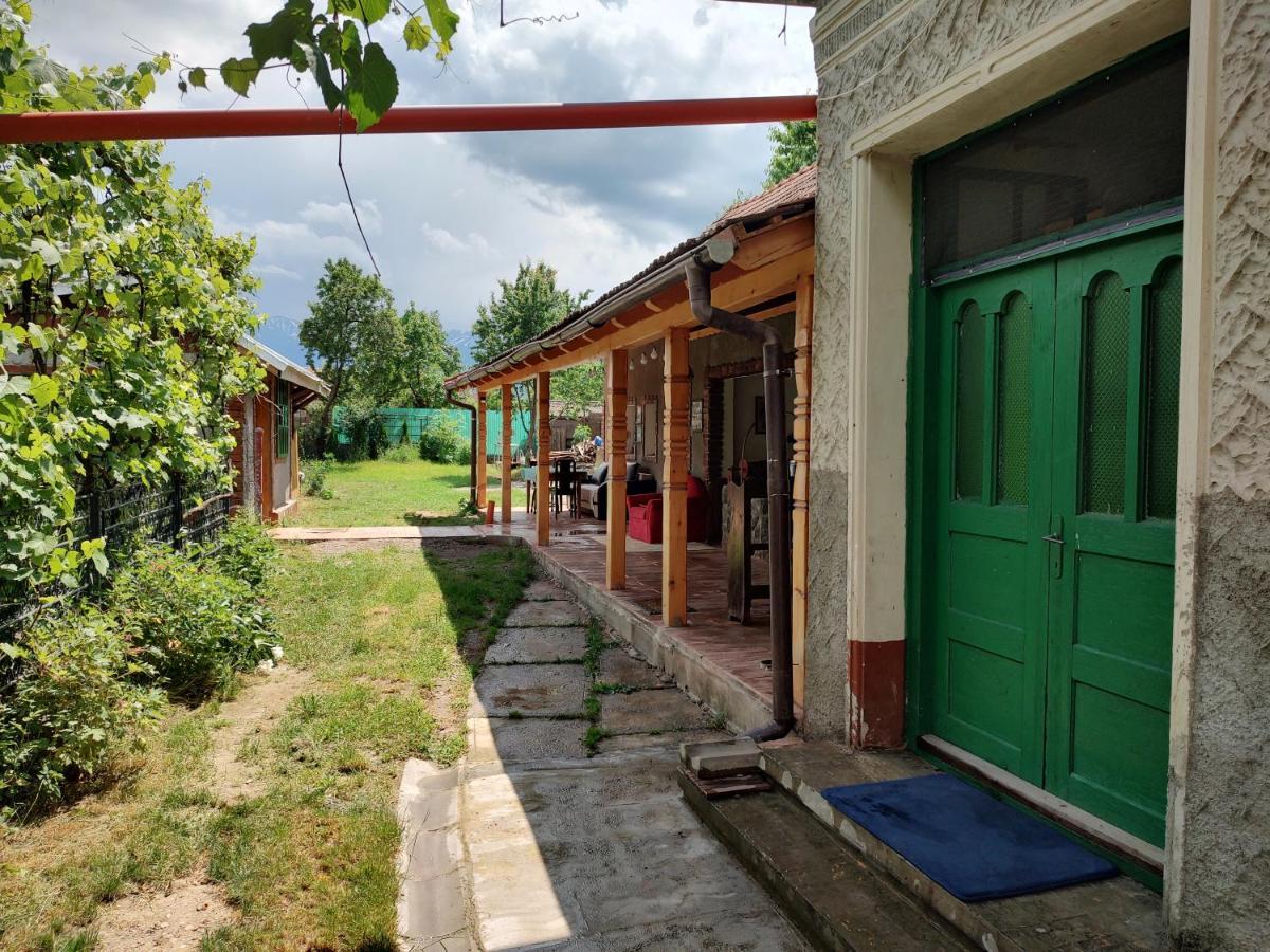 La Tataia Zahei Hotel Dragus Luaran gambar