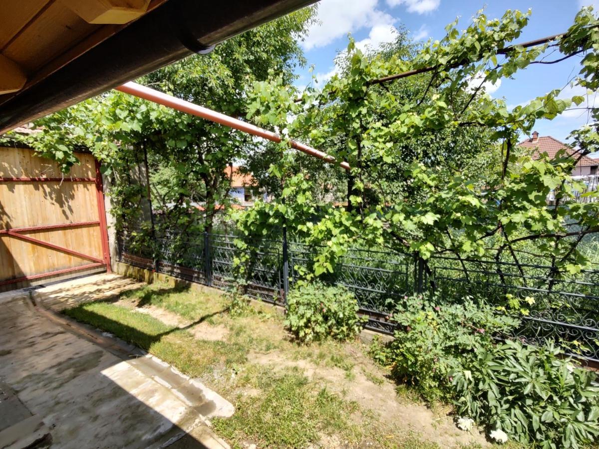 La Tataia Zahei Hotel Dragus Luaran gambar